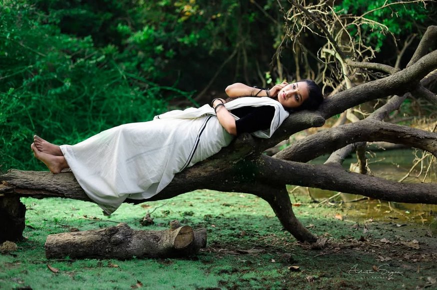 Resting on the old branch